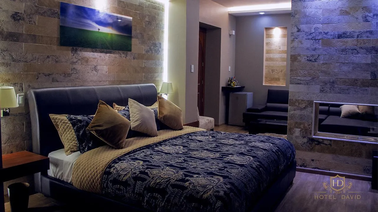 Hotel David Κίτο 3*,