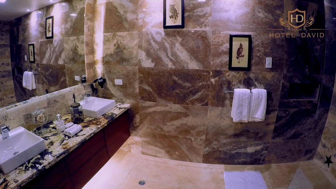 Hotel David Quito 3*,