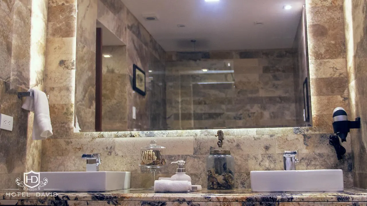 Hotel David Κίτο